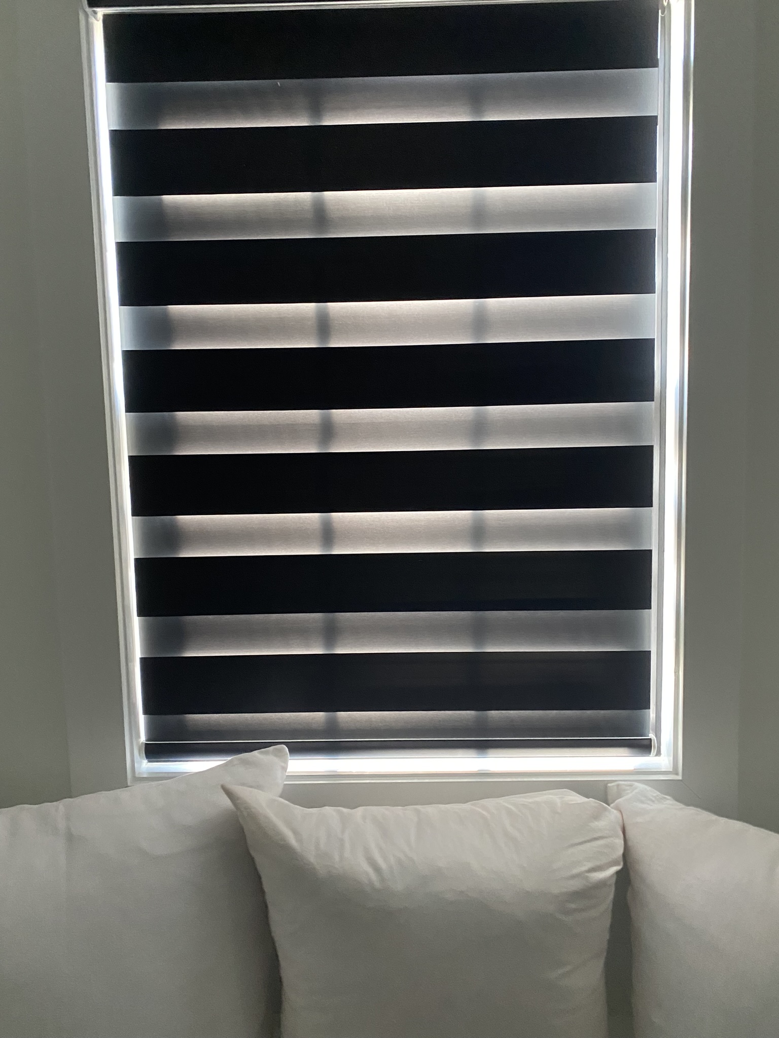 Zebra dual sheer banded shades